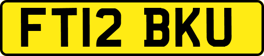 FT12BKU