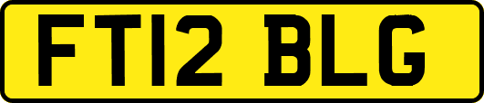 FT12BLG