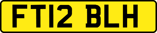FT12BLH