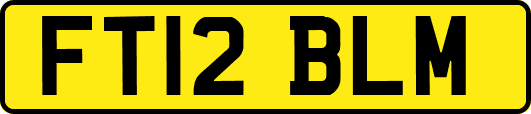 FT12BLM