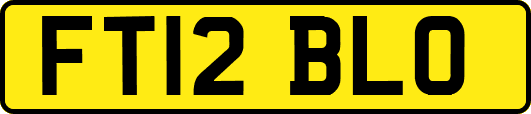 FT12BLO