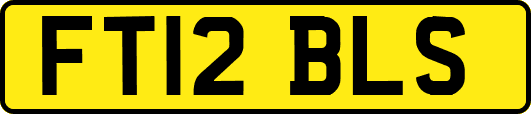 FT12BLS