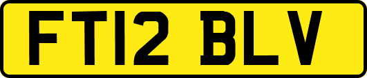 FT12BLV