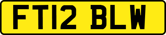 FT12BLW