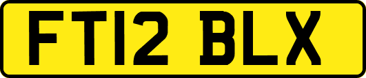FT12BLX