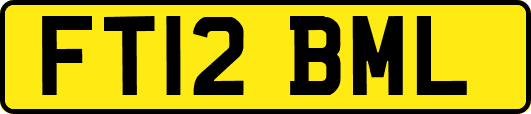 FT12BML