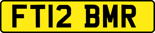 FT12BMR