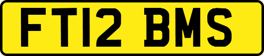 FT12BMS