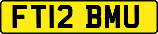 FT12BMU