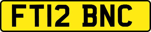FT12BNC
