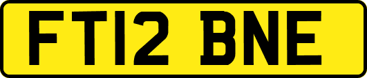 FT12BNE