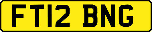 FT12BNG