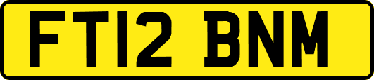FT12BNM