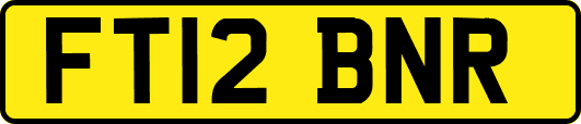 FT12BNR