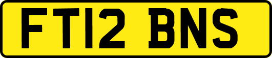 FT12BNS
