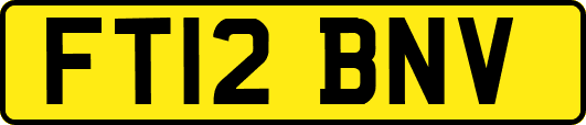 FT12BNV