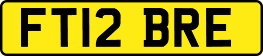 FT12BRE