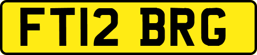 FT12BRG