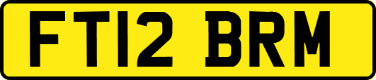 FT12BRM