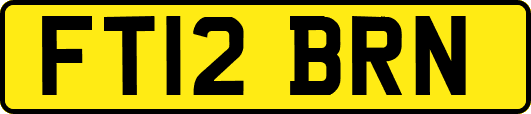 FT12BRN