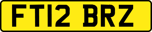 FT12BRZ