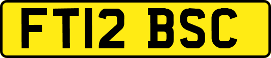FT12BSC