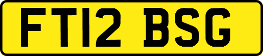 FT12BSG