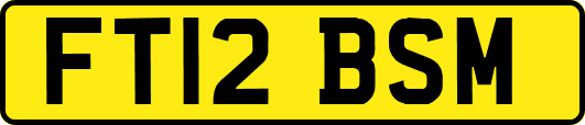 FT12BSM