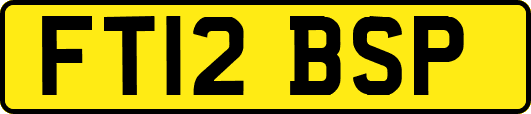 FT12BSP