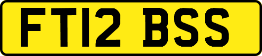 FT12BSS