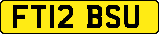FT12BSU