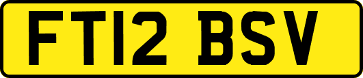 FT12BSV