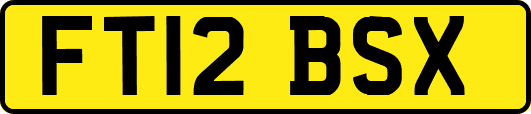 FT12BSX