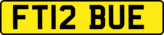 FT12BUE