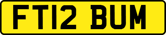 FT12BUM