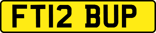 FT12BUP