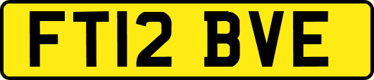 FT12BVE