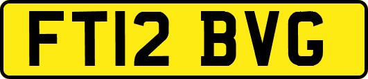FT12BVG