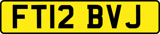 FT12BVJ