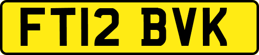 FT12BVK