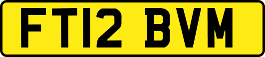 FT12BVM