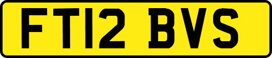 FT12BVS
