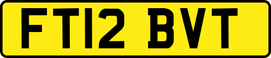 FT12BVT