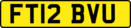 FT12BVU