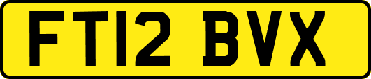 FT12BVX