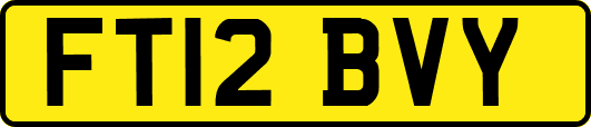 FT12BVY