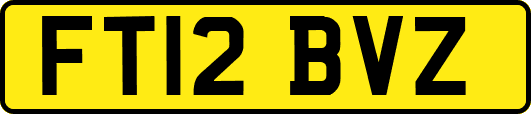 FT12BVZ