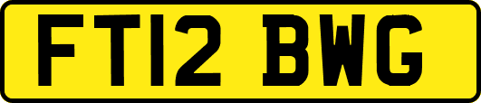 FT12BWG