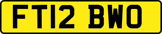 FT12BWO