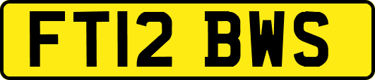 FT12BWS